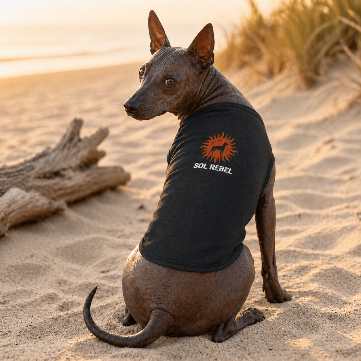 Sol Rebel Pet Tank Top — Sunburst Dog Shirt
